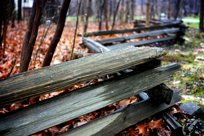 Photo: Split-rail Fence by Kaytee Riek on Flickr
